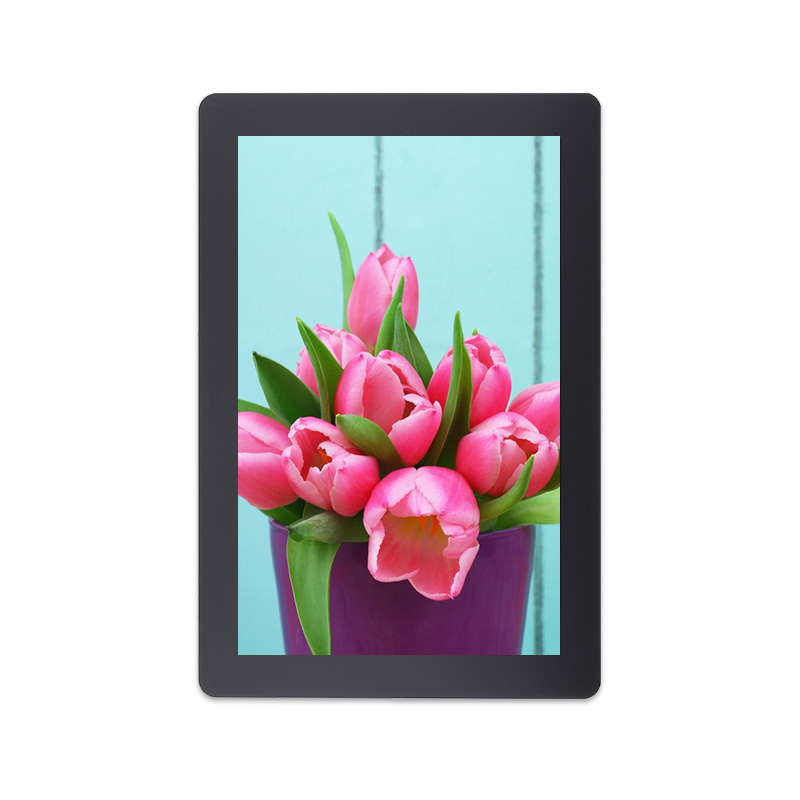 10.1 Inch 800x1280 Resolution IPS MIPI Interface LCD Module