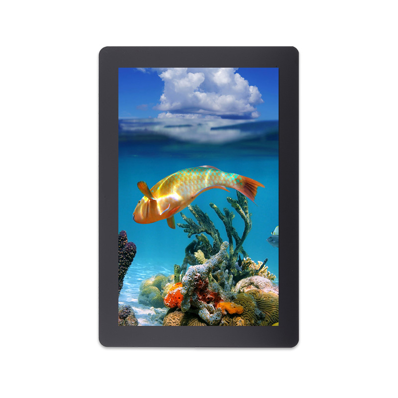 10.1 Inch 800x1280 Resolution IPS MIPI Interface LCD Module