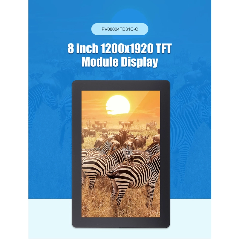 pv08010t0630k 1